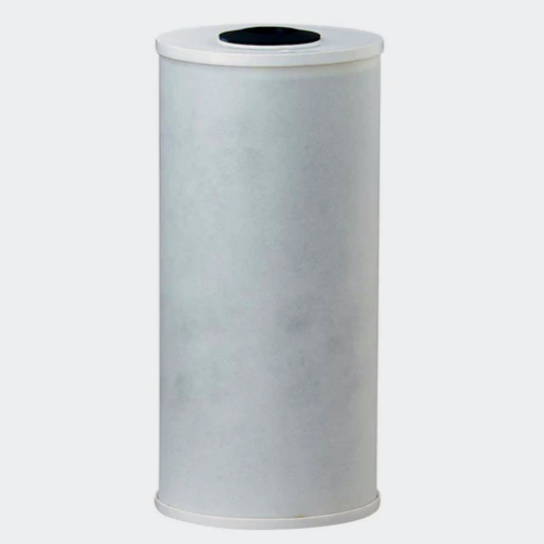 10″ BB Radial-Flow GAC Filter